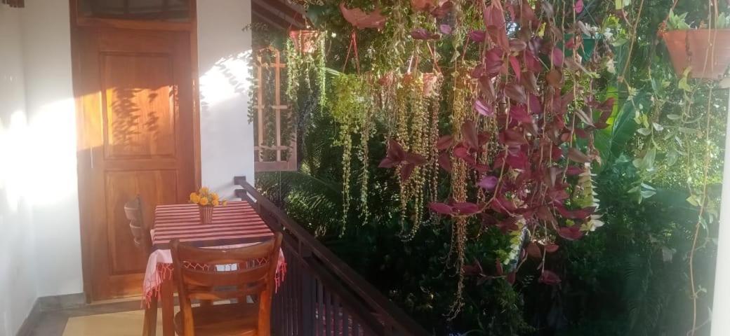 Jungle View One Bedroom Private Apartment Unawatuna Kültér fotó